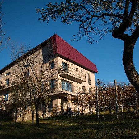 Panoramic Hotel Baia-Sprie Exterior foto
