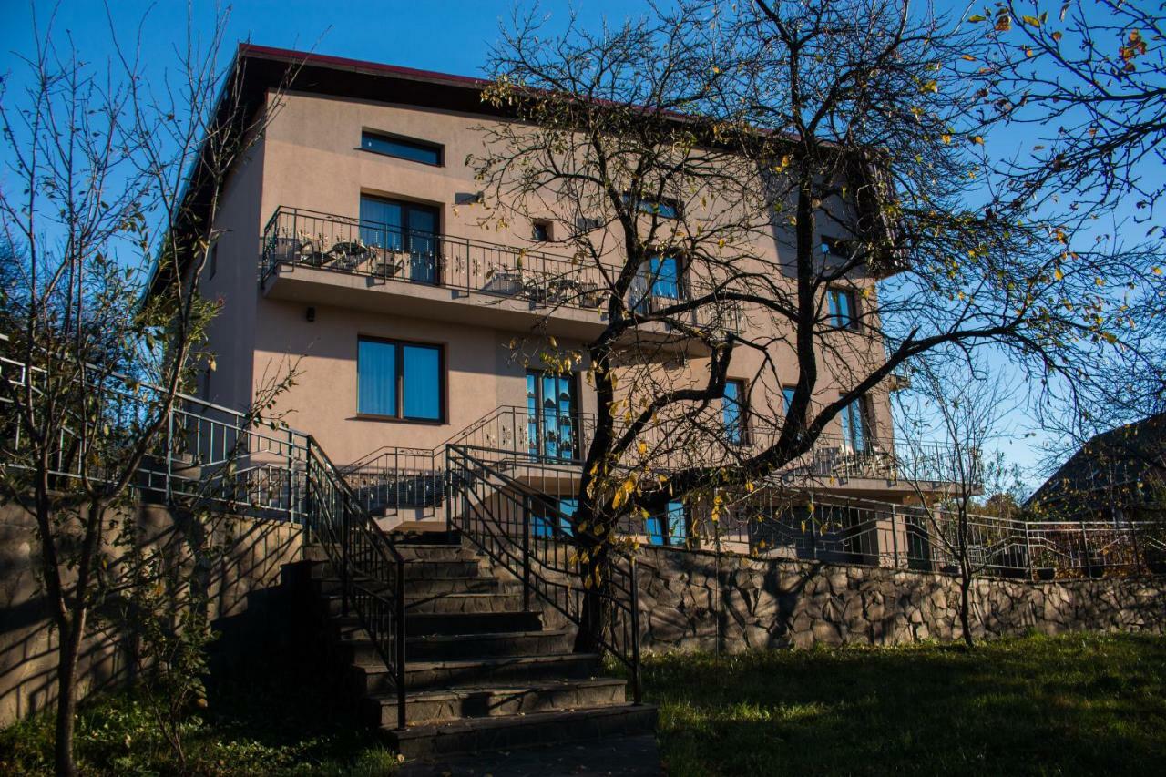 Panoramic Hotel Baia-Sprie Exterior foto