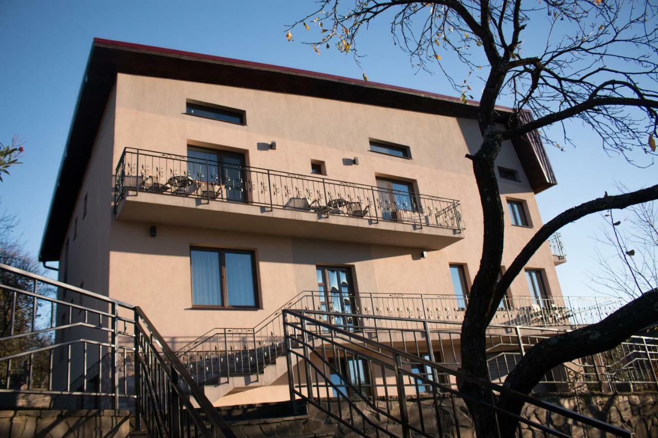 Panoramic Hotel Baia-Sprie Exterior foto