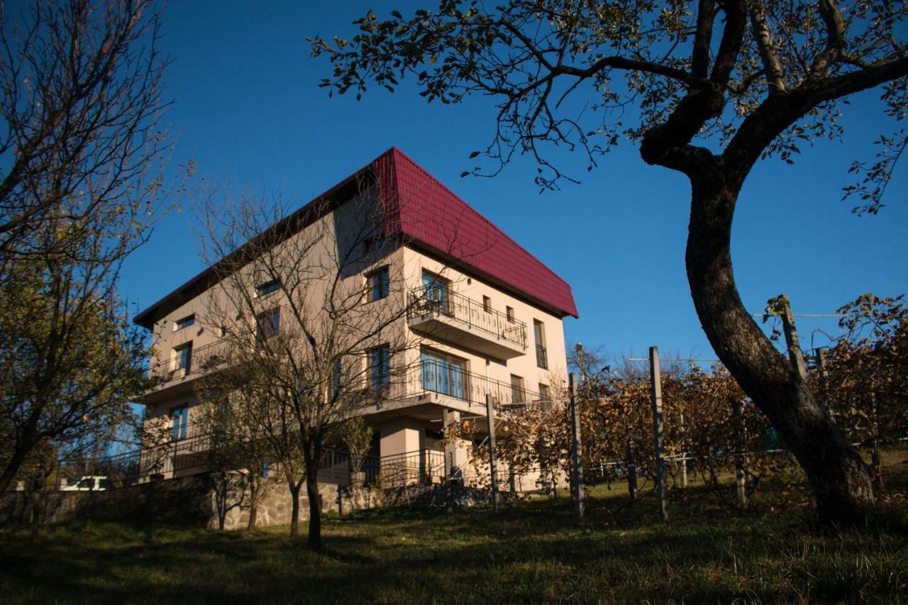 Panoramic Hotel Baia-Sprie Exterior foto