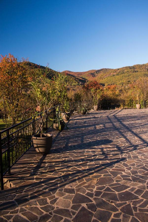 Panoramic Hotel Baia-Sprie Exterior foto